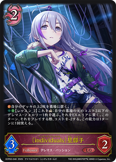 〔individuals〕星輝子