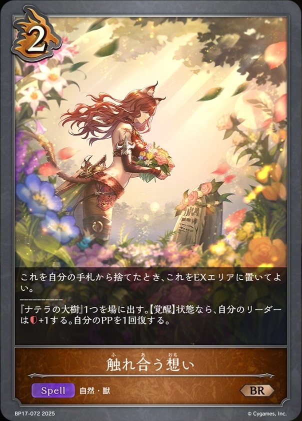 触れ合う想い