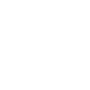 ZETA DIVISION